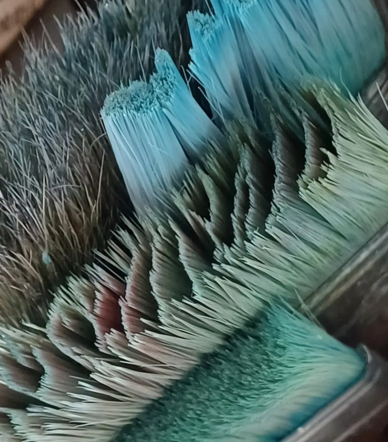 Gemälde von TitasArt