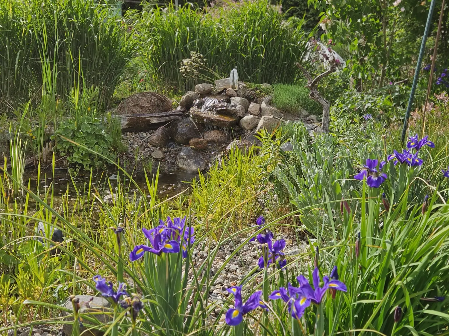 Kunst-Workshops Atelier