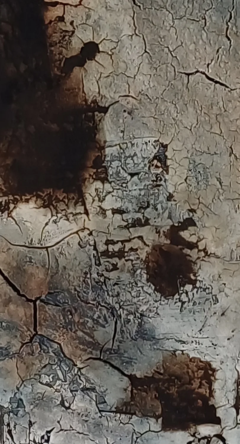 Art Night Abstract Garten