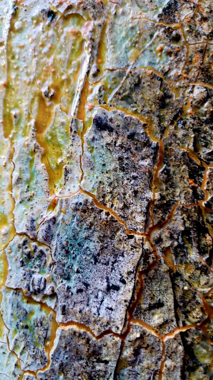 Kunst-Workshops Atelier